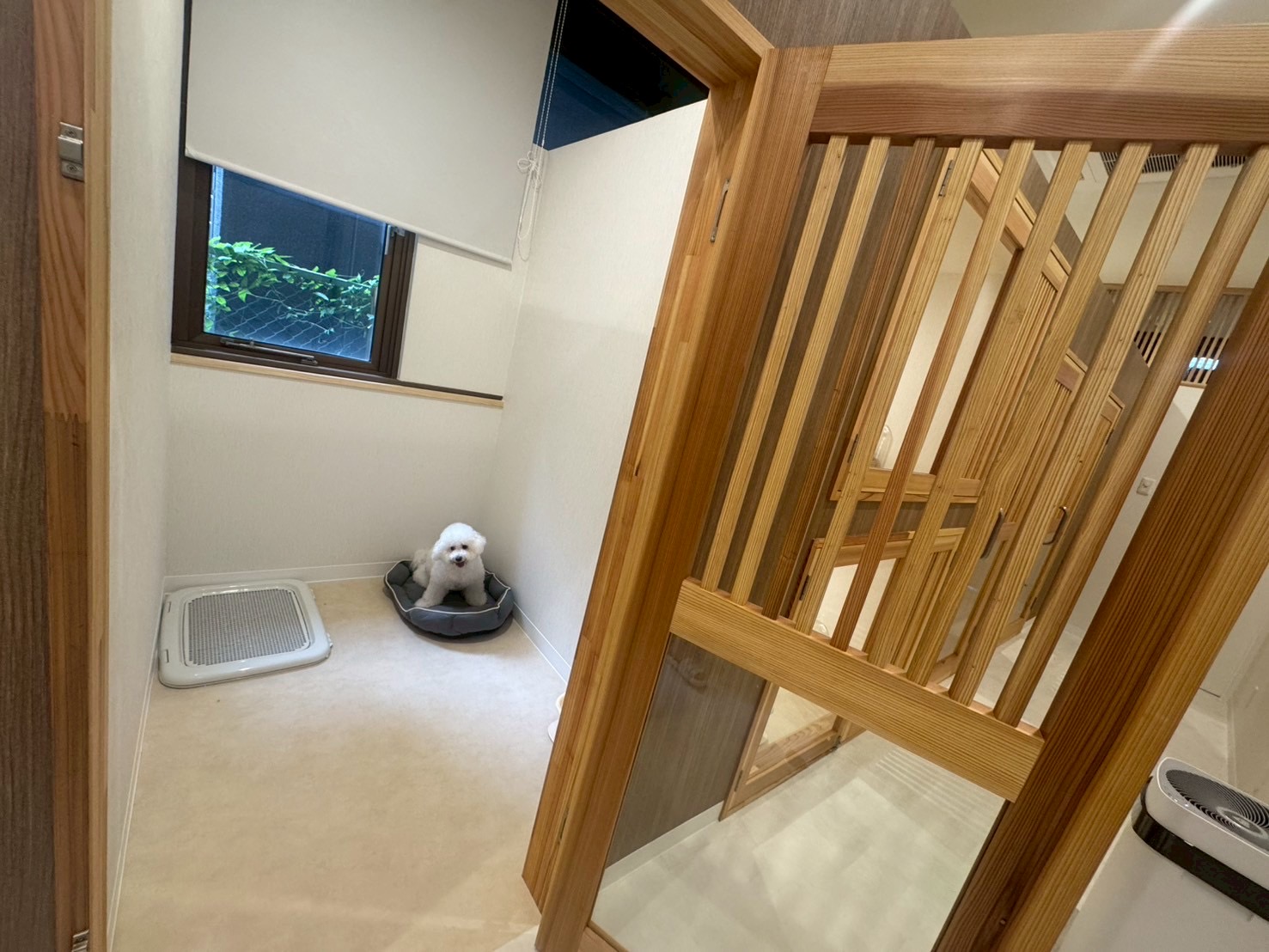 宮崎県宮崎市のペットホテル Dogsalon&Hotelとろろの6枚目