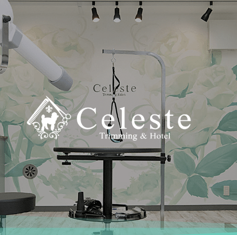 東京都台東区のペットホテル Celesteのサムネイルのサムネイル1枚目