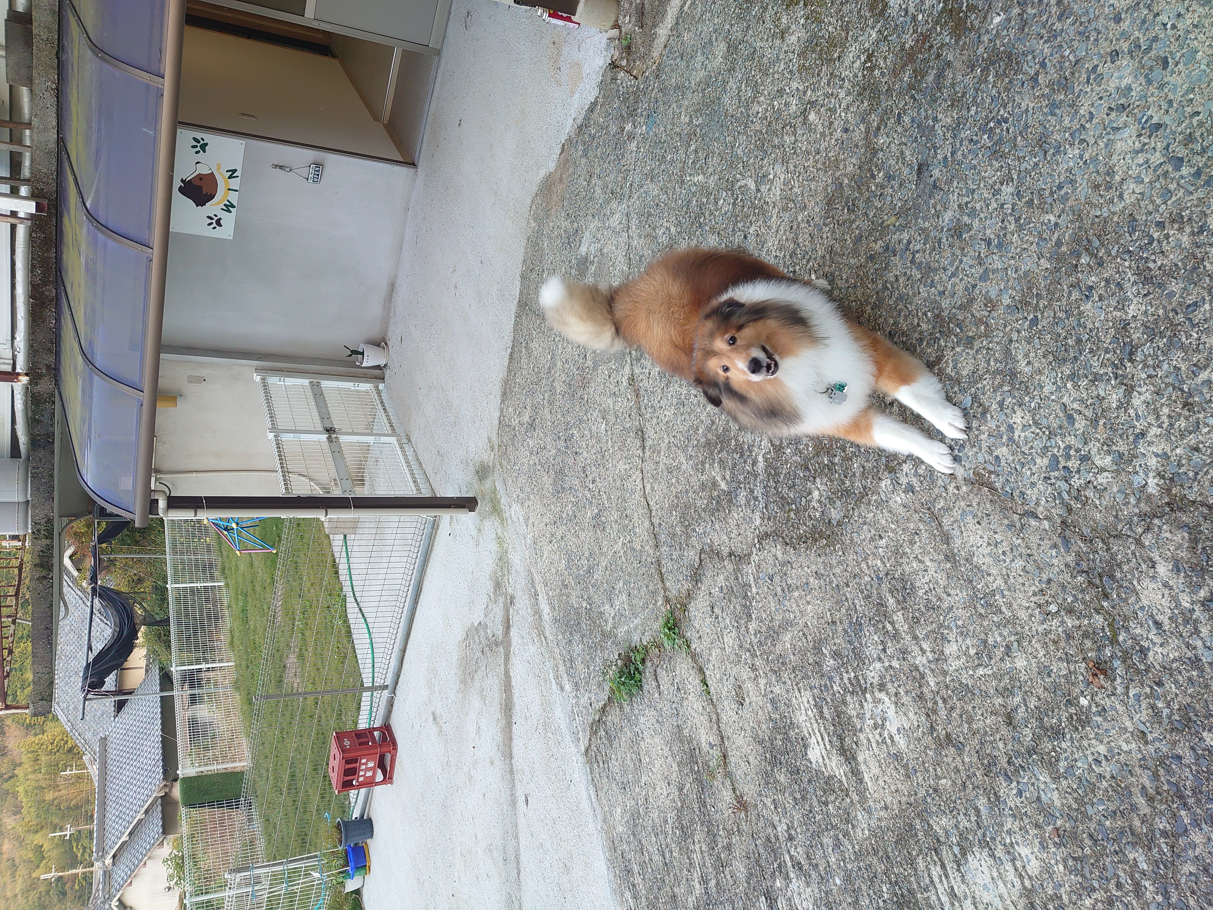 WIN のサムネイル