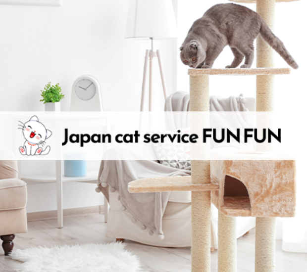 大阪府東大阪市のペットホテル Japan cat service FUN FUNのサムネイルのサムネイル1枚目