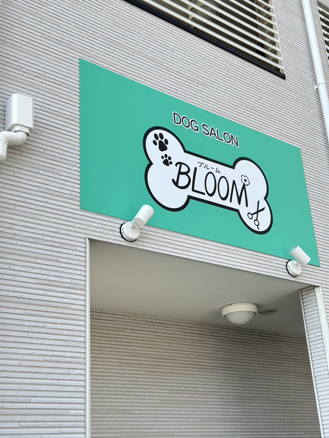 DOG SALON BLOOM