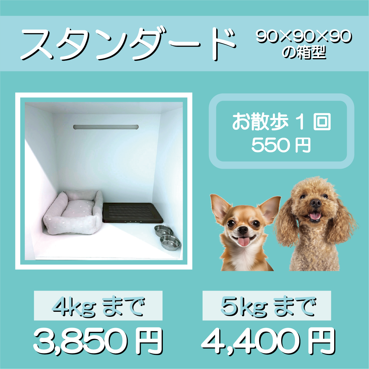 スタンダード