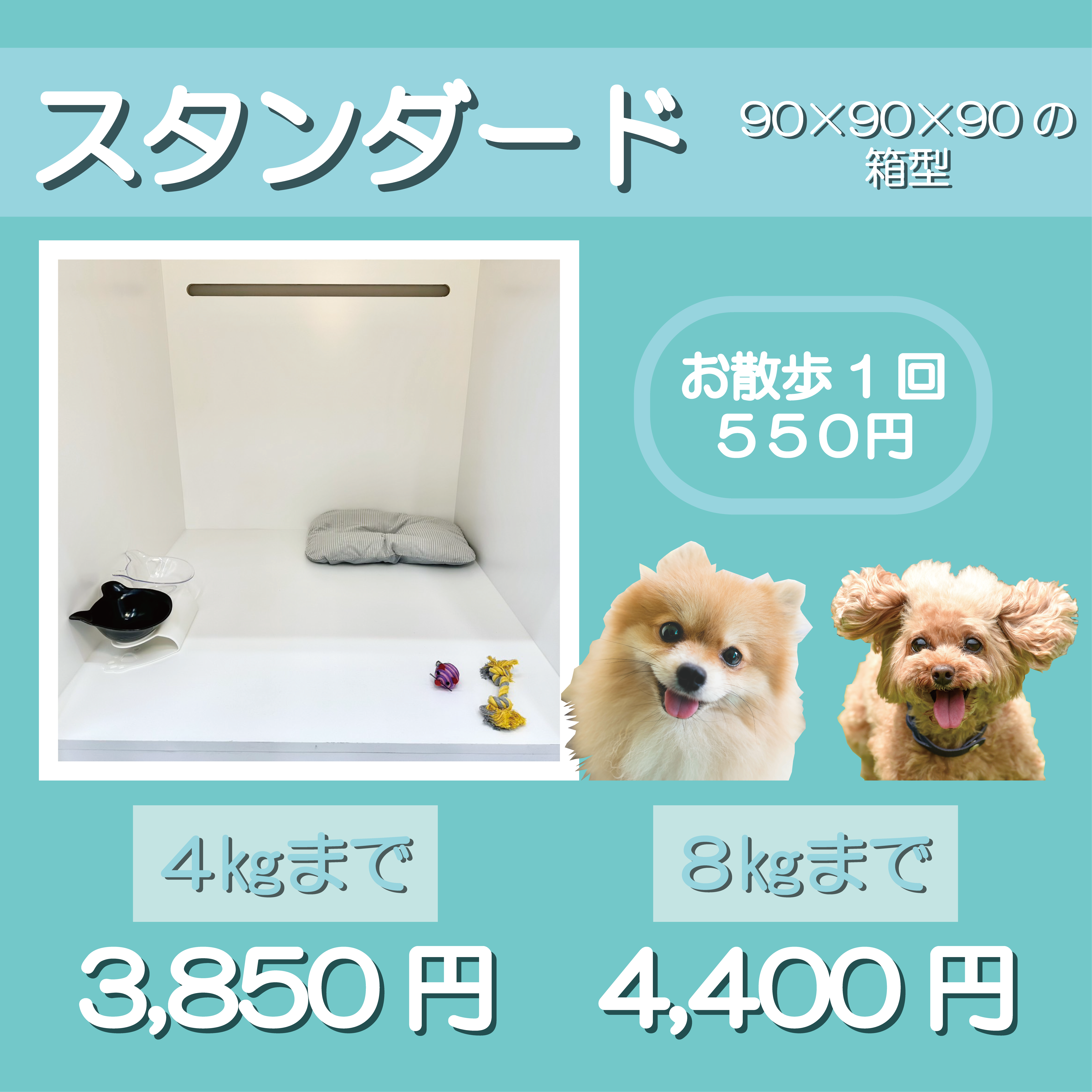 スタンダード