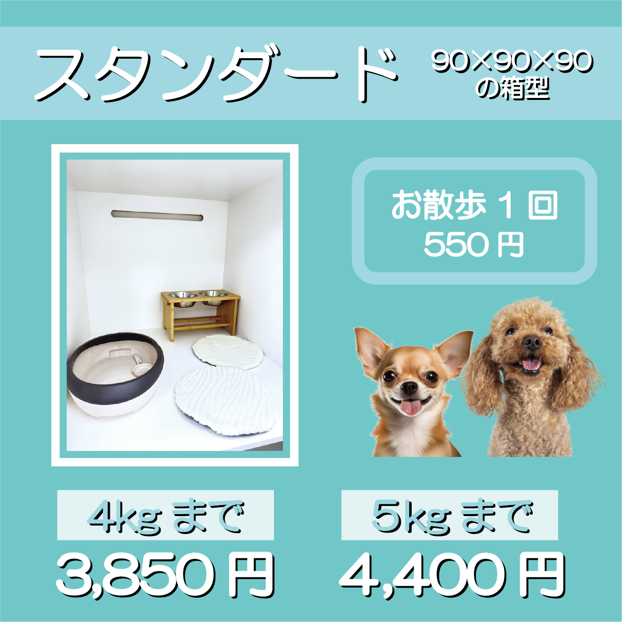 スタンダード