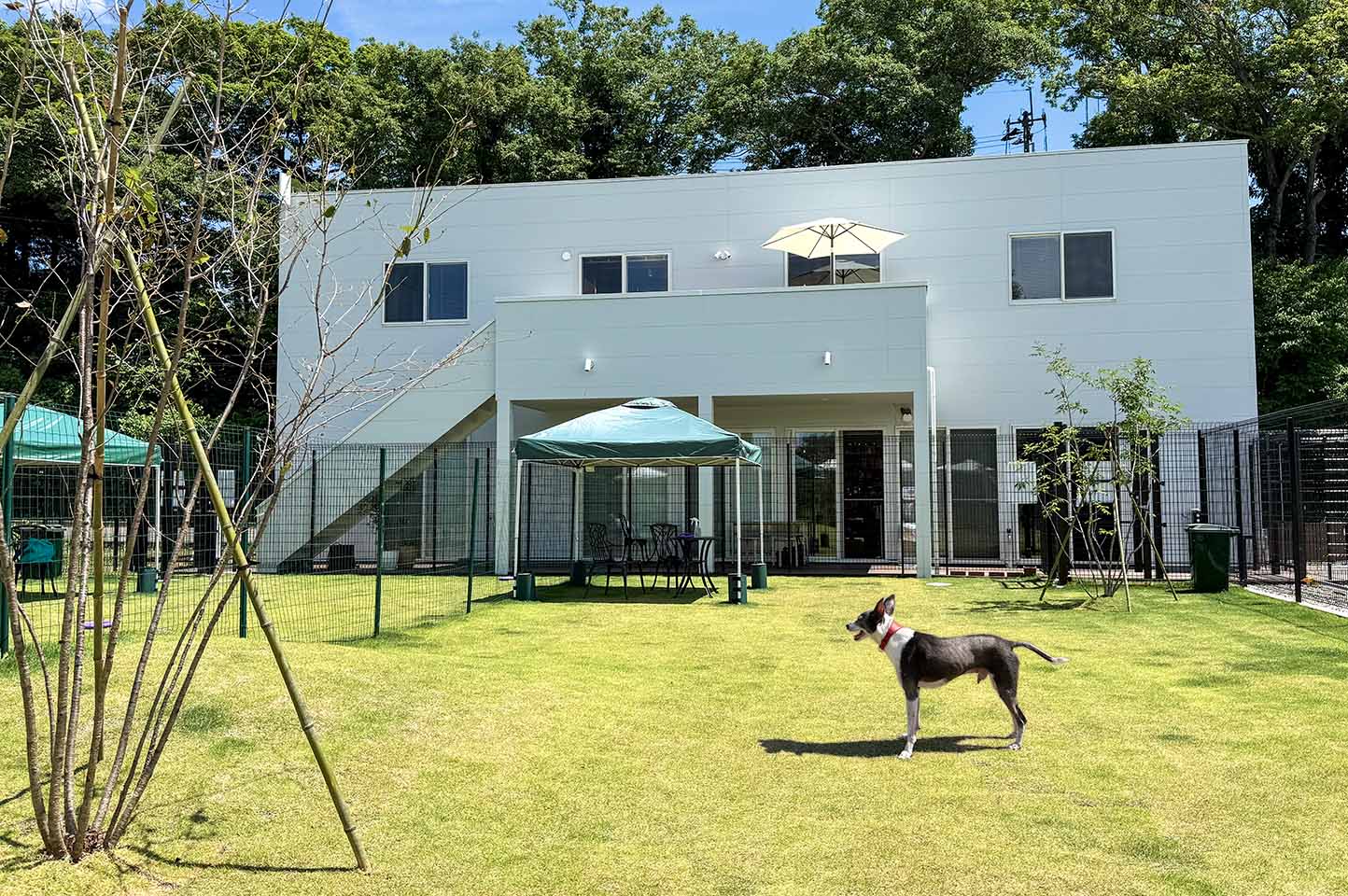 STARRYPARK泉ヶ岳の画像 1