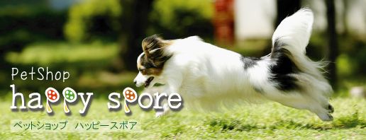 東京都板橋区のペットホテル トリミング Happy-Sporeの3枚目