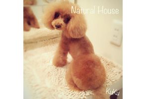 埼玉県さいたま市北区のペットホテル Dog Salon Natural Houseの1枚目