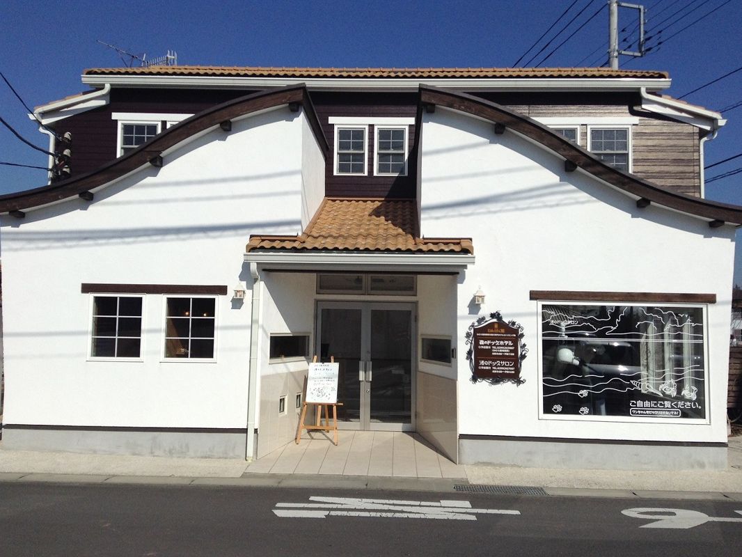 茨城県石岡市のペットホテル わんぱく館　渚のドッグサロンのサムネイルのサムネイル2枚目