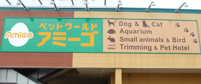 広島県広島市南区のペットホテル ペットワールドアミーゴ 宇品店のサムネイルのサムネイル2枚目