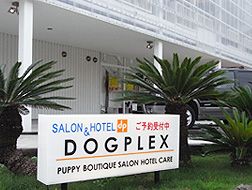 神奈川県横浜市青葉区のペットホテル DOGPLEXのサムネイルのサムネイル1枚目