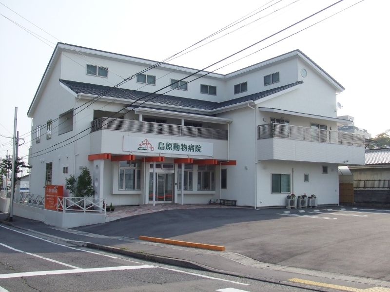 長崎県島原市のペットホテル 島原動物病院ペット美容室のサムネイルのサムネイル1枚目