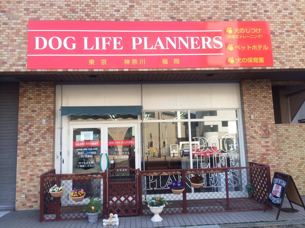 福岡県福岡市南区のペットホテル DOG LIFE PLANNERSの1枚目