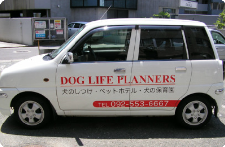 福岡県福岡市南区のペットホテル DOG LIFE PLANNERSの3枚目