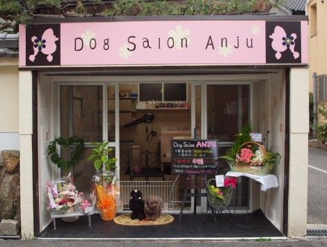 大阪府吹田市のペットホテル Dog Salon Anjuのサムネイルのサムネイル2枚目