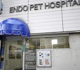 東京都新宿区のペットホテル エンドー動物病院のサムネイルのサムネイル1枚目