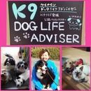愛媛県松山市のペットホテル K9 DOG LIFE ADVISERのサムネイル1枚目