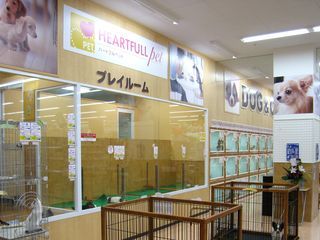 ハートフルペット　平井店 のサムネイル