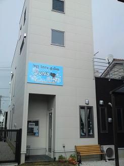 愛知県名古屋市守山区のペットホテル Dog care salonJUNOの2枚目
