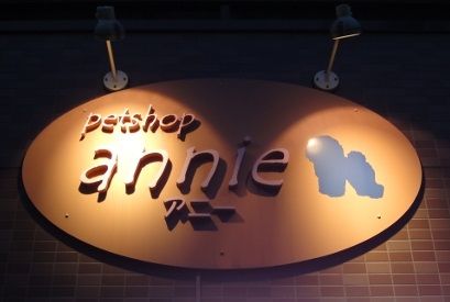 東京都大田区のペットホテル ペットショップ アニーのサムネイルのサムネイル2枚目