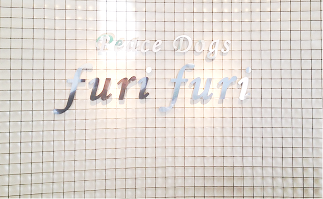 東京都世田谷区のペットホテル Peace Dogs furi furiの3枚目