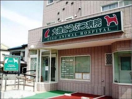 神奈川県大磯町のペットホテル 大磯どうぶつ病院のサムネイルのサムネイル1枚目