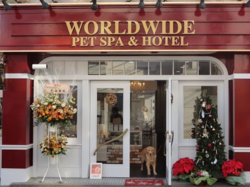 神奈川県横浜市青葉区のペットホテル WORLDWIDE PET SPA & HOTELの1枚目