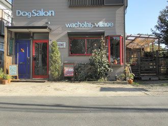 神奈川県藤沢市のペットホテル Dog Salon wacholab villageの1枚目