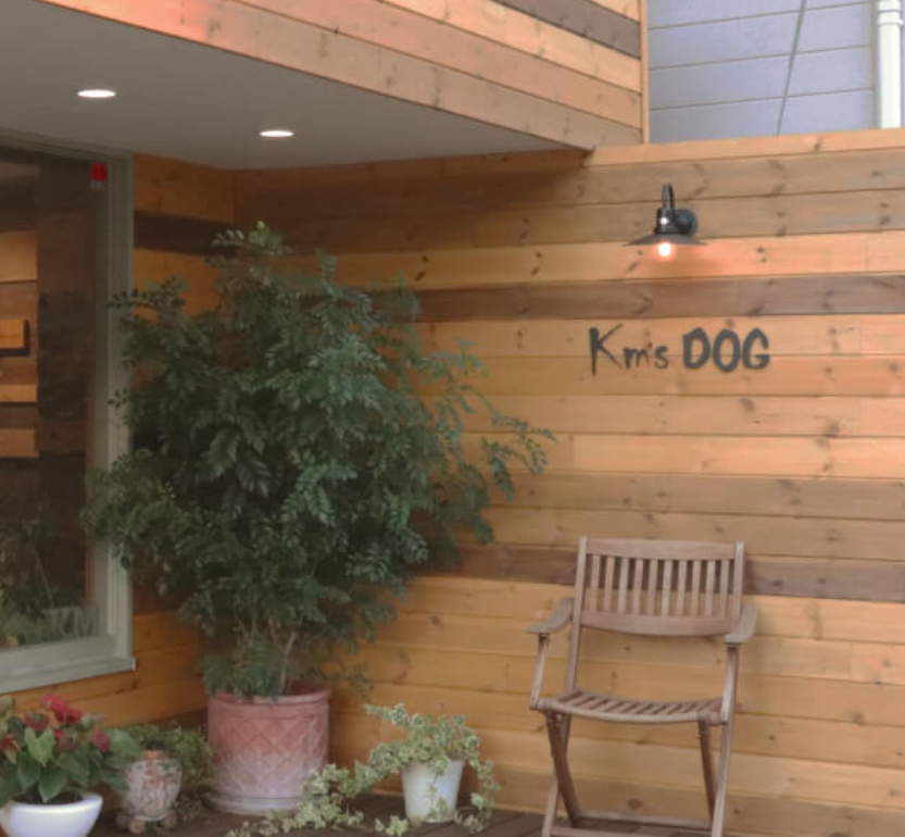 神奈川県横浜市中区のペットホテル Km's DOG(コムズドッグ)のサムネイルのサムネイル1枚目