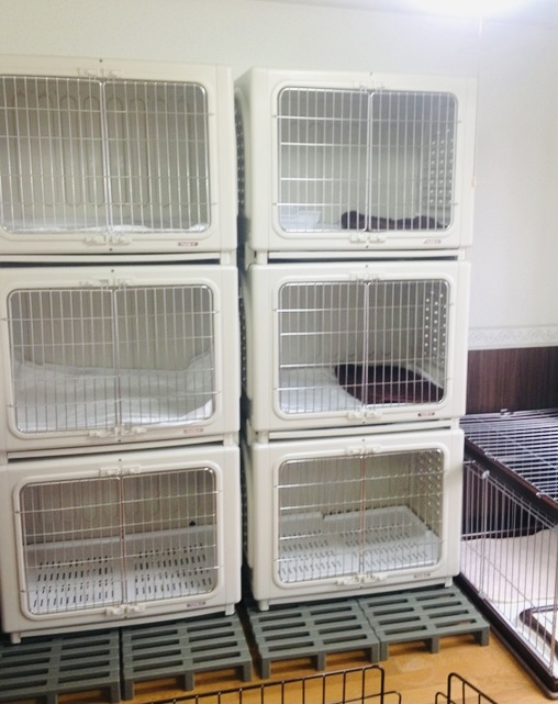 動物病院併設で安心♪です。