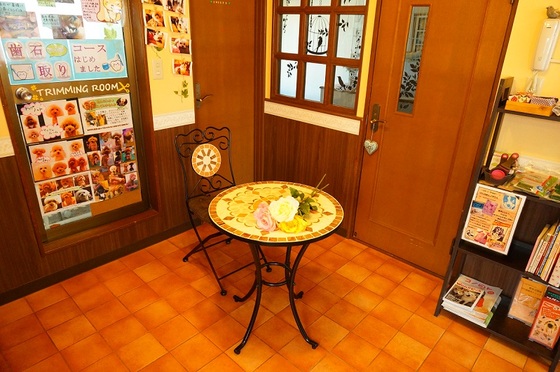 神奈川県川崎市中原区のペットホテル Guranny House Kuonの3枚目