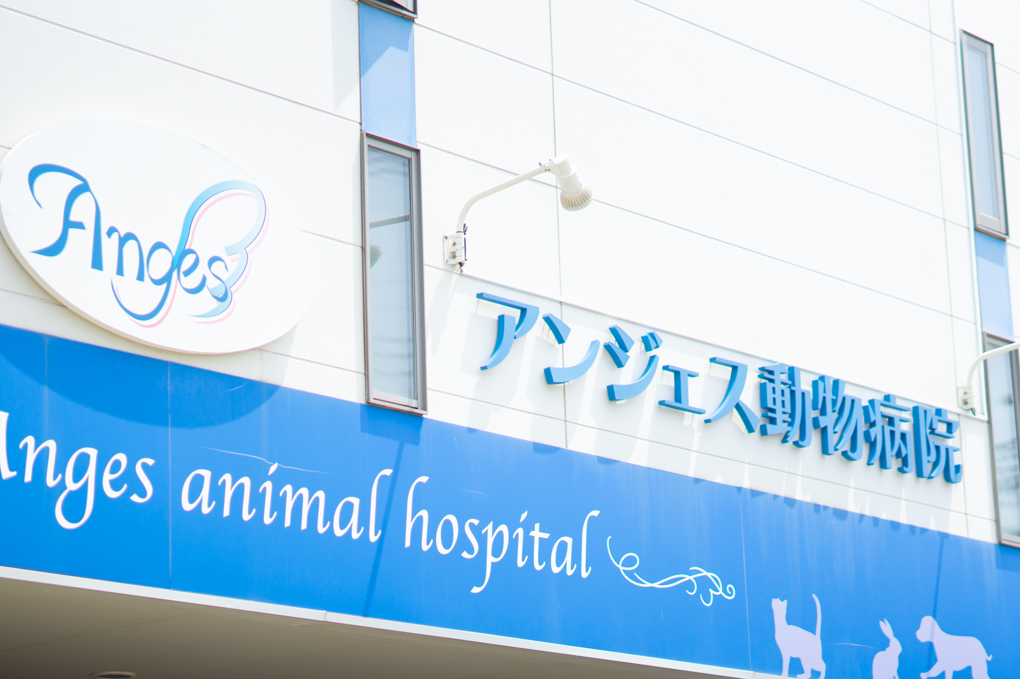 神奈川県茅ヶ崎市のペットホテル アンジェス動物病院ペットケアホテルのサムネイルのサムネイル1枚目
