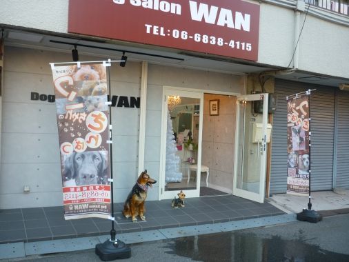 大阪府大阪市淀川区のペットホテル Dog Salon WANの1枚目