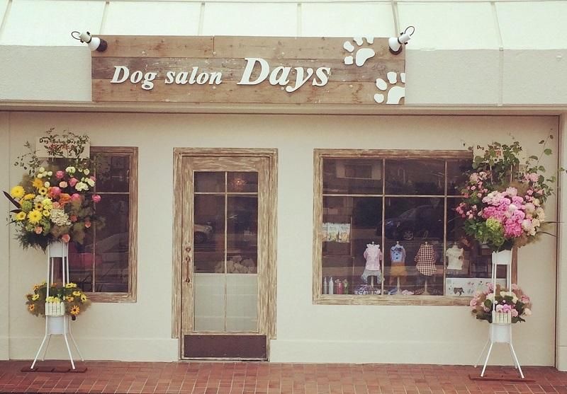 兵庫県加古川市のペットホテル Dog salon Daysの1枚目