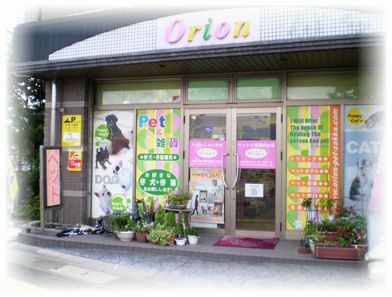 福岡県福岡市博多区のペットホテル Pet & Goods Shop Orionの1枚目