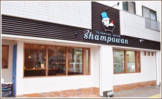 福岡 トリミングサロン shampowan のサムネイル