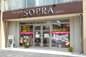 SOPRA GINZA 津田沼店 のサムネイル