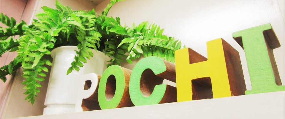 東京都文京区のペットホテル 犬の美容室 ぽちの4枚目