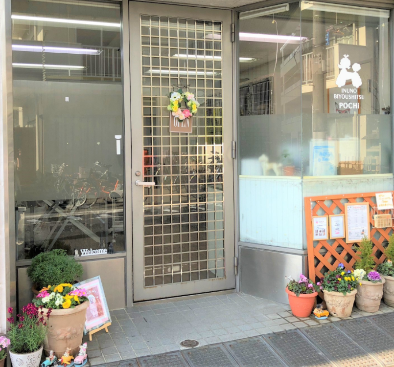 東京都文京区のペットホテル 犬の美容室 ぽちのサムネイルのサムネイル1枚目