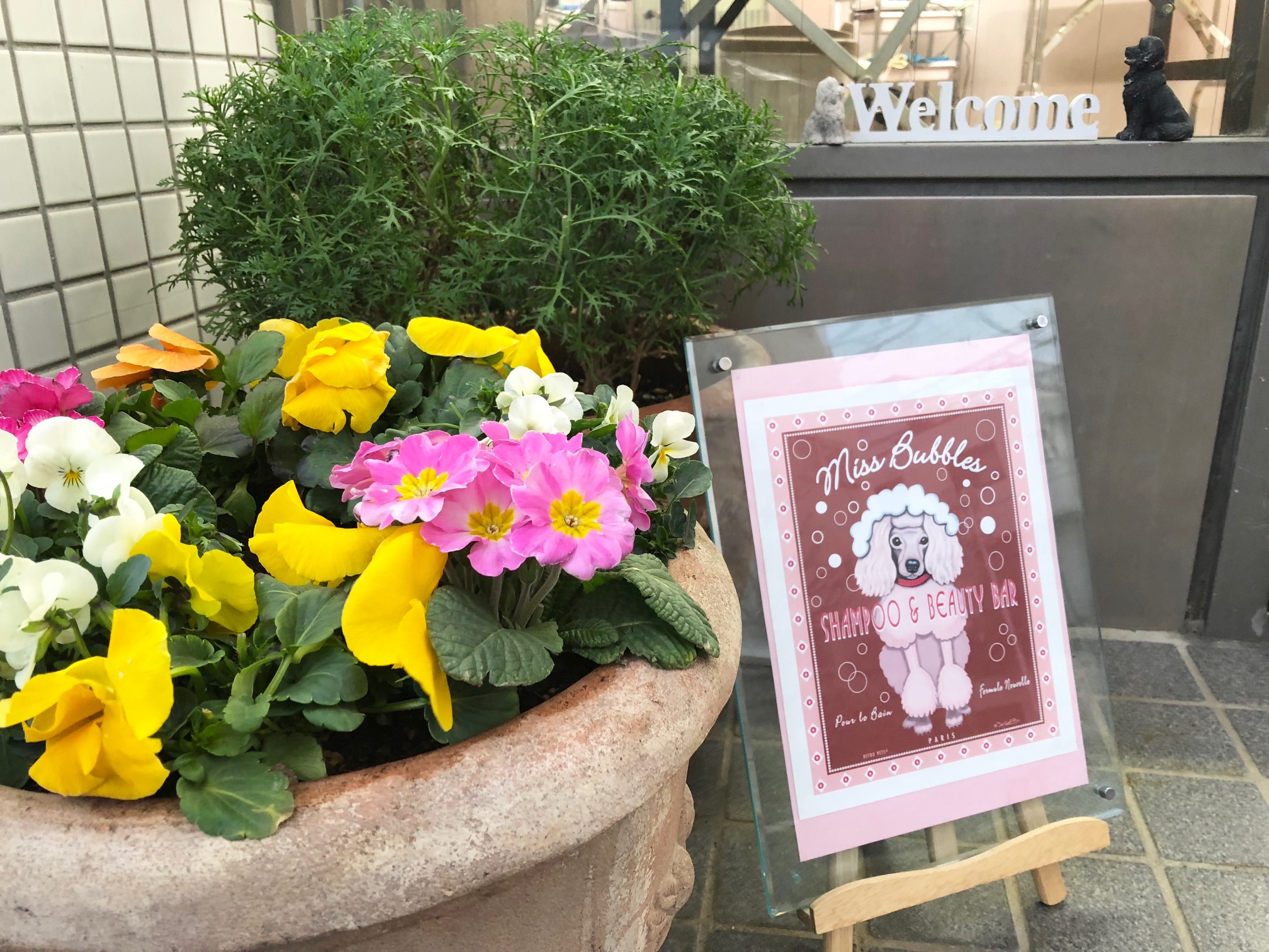 東京都文京区のペットホテル 犬の美容室 ぽちの3枚目