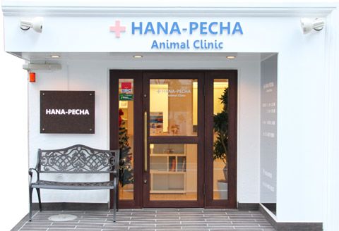 東京都豊島区のペットホテル SPECE HANA-PECHAの1枚目