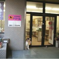 徳島県徳島市のペットホテル 愛犬美容室&ホテル ドリームの1枚目