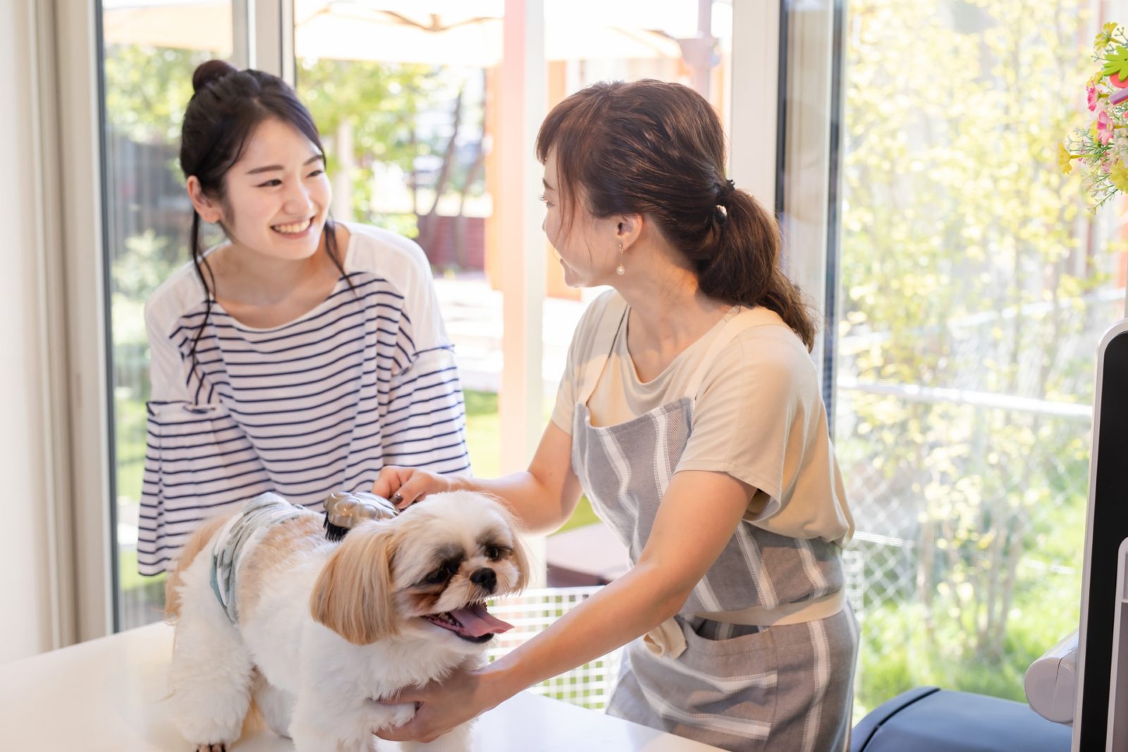 東京都足立区のペットホテル Love&Dogのサムネイルのサムネイル2枚目