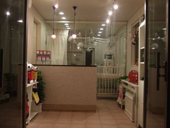 東京都大田区のペットホテル ANIER(アニエル)-Dog Grooming Room-のサムネイルのサムネイル1枚目