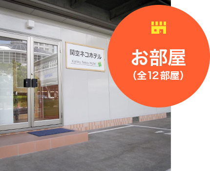大阪府泉佐野市のペットホテル 関空ペットホテル プロムナードの3枚目