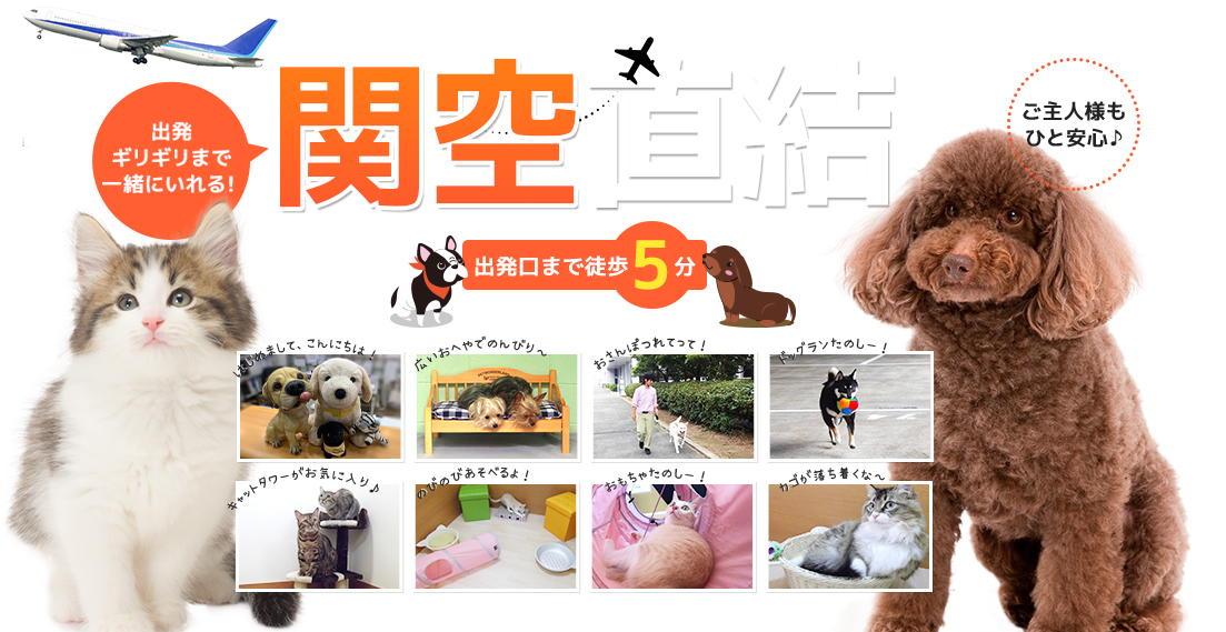 大阪府泉佐野市のペットホテル 関空ペットホテル プロムナードのサムネイルのサムネイル1枚目