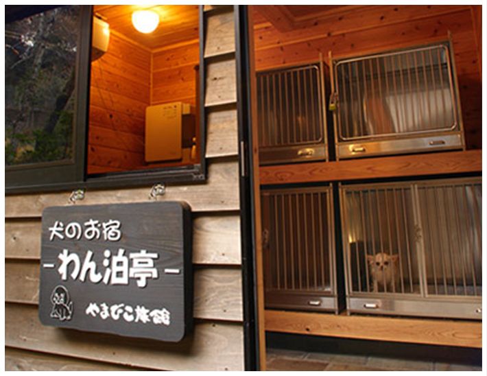 熊本県南小国町のペットホテル やまびこ旅館　『～犬のおやど～わん泊亭』のサムネイルのサムネイル1枚目