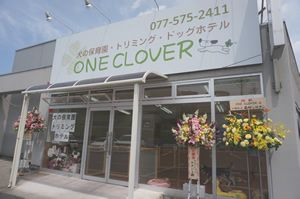 ONE CLOVER のサムネイル