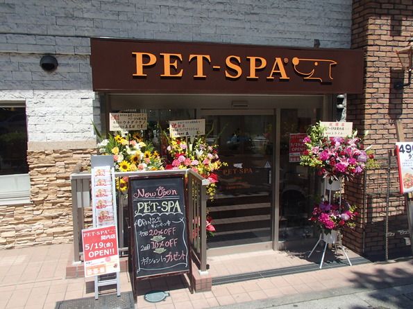 神奈川県横浜市中区のペットホテル PET-SPA 関内店のサムネイルのサムネイル1枚目