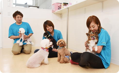 神奈川県座間市のペットホテル DOG FREAKS 座間店の3枚目