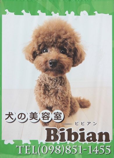 沖縄県豊見城市のペットホテル 犬の美容室　ビビアンのサムネイルのサムネイル1枚目